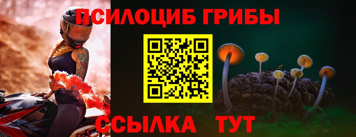 Галлюциногенные грибы прущие грибы Елизово